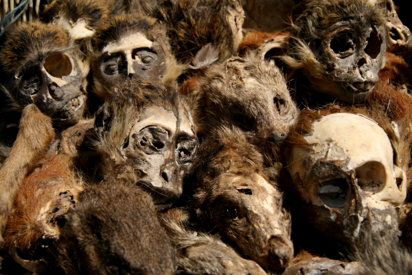 at the fetish market in bamako.JPG